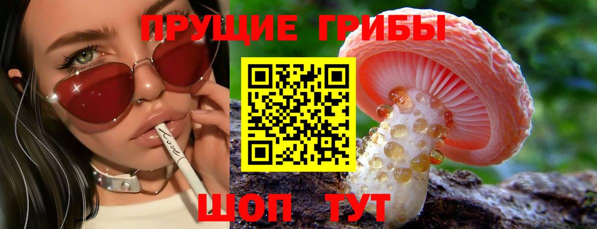 цены наркотик  Вход с VPN  Туймазы  Галлюциногенные грибы Magic Shrooms 